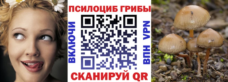 Купить где  Яблоновский  Псилоцибиновые грибы Cubensis 